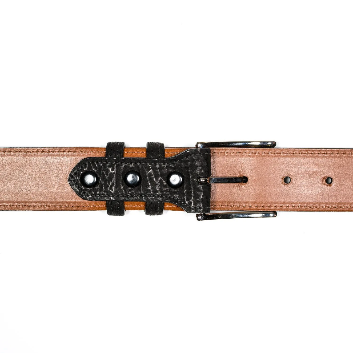 Belt in Black Shark