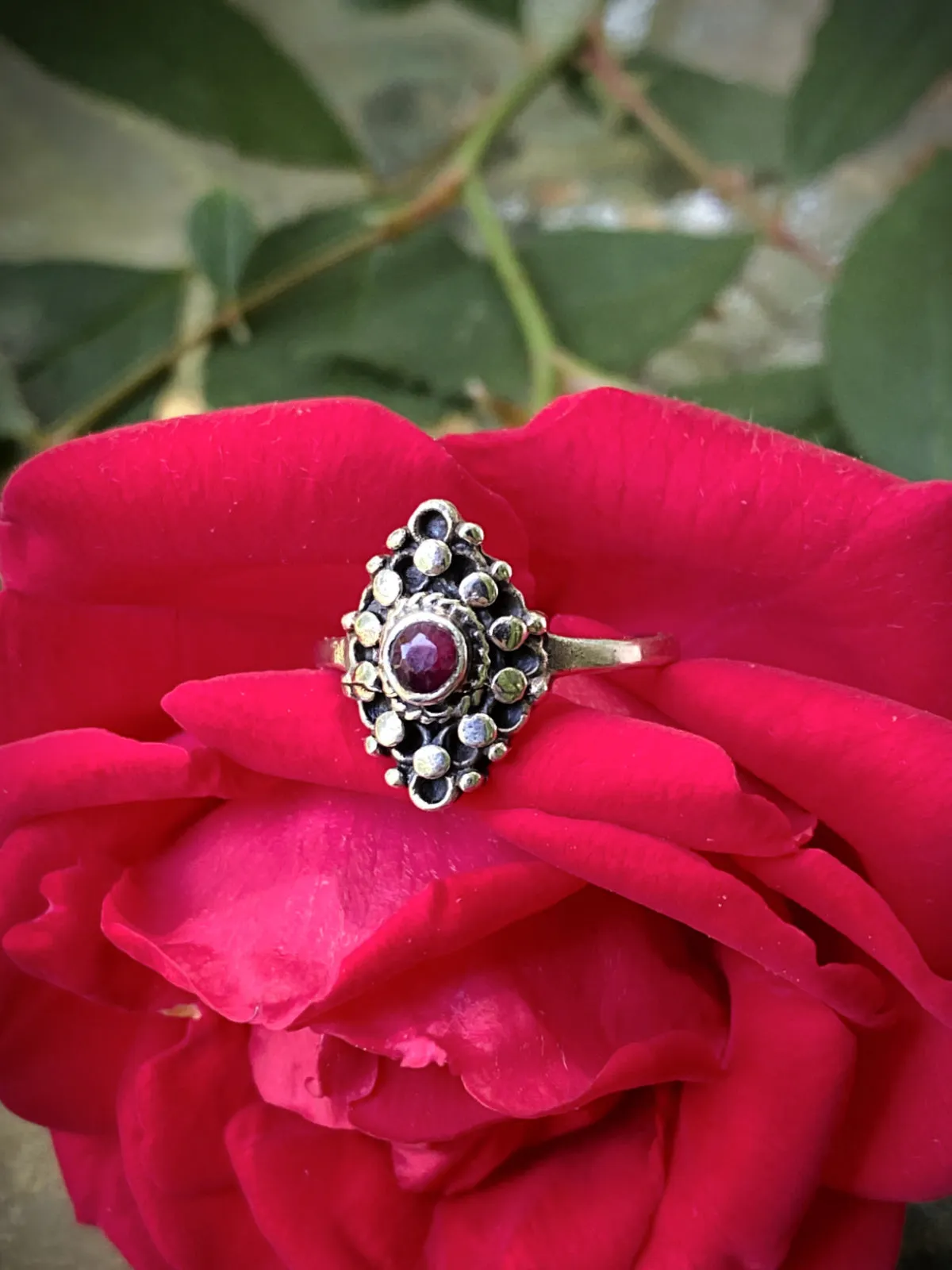 Dotted Ruby Shield Ring