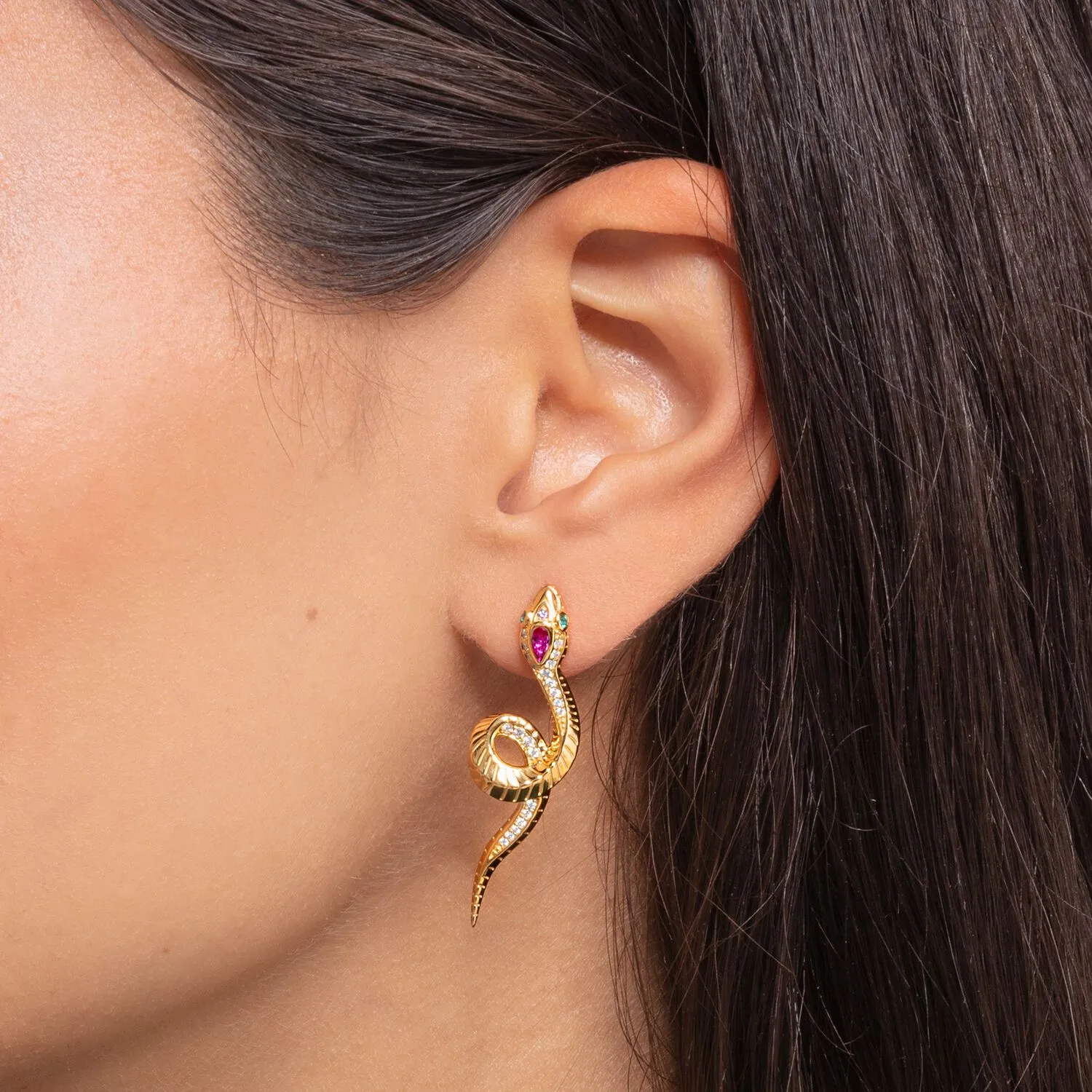 Earrings Snake