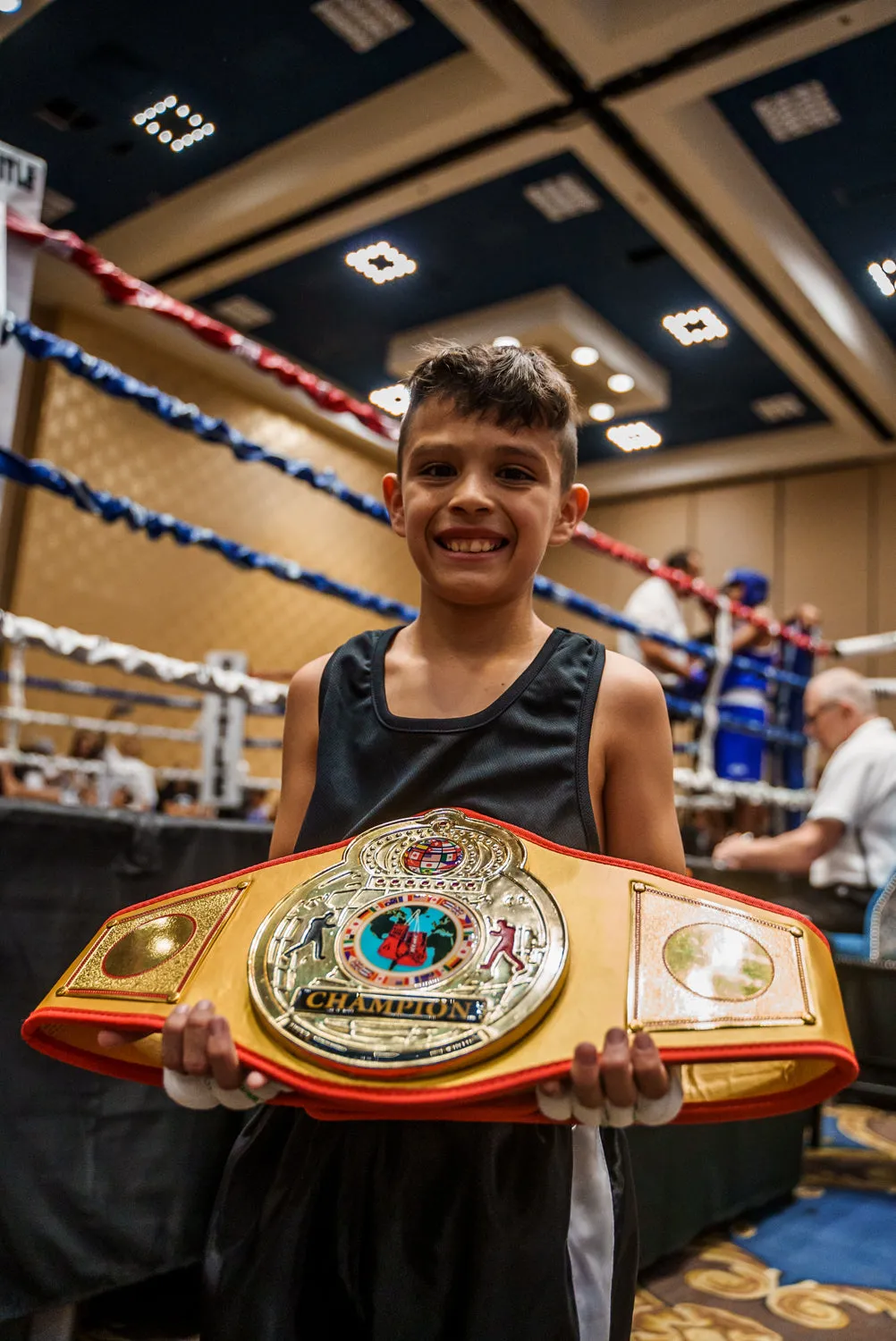 TITLE Boxing Gold Flash Title Belt